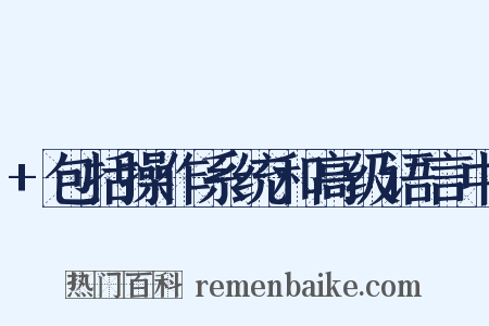 +包括操作系统和高级语言中是什么意思的图片